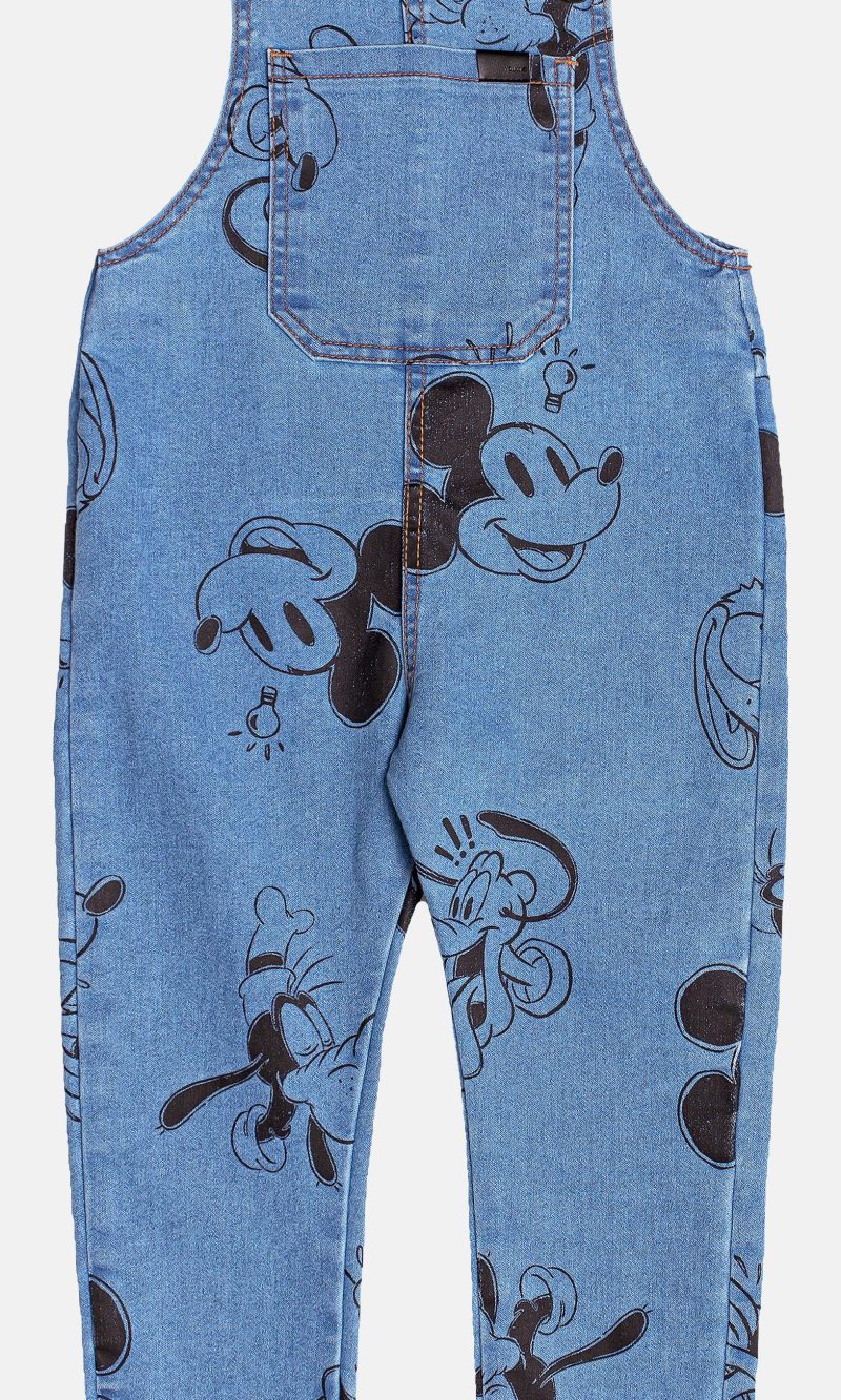 jard youccie mickey amigos