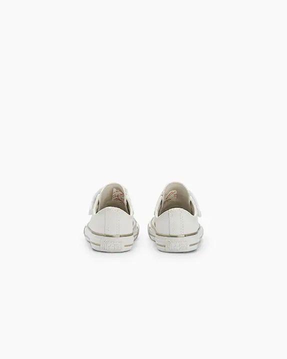 chuck taylor amend/ouro chuck taylor amend/ouro