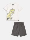 cj tshirt i2296 berm i2297 perola