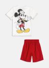 cj tshirt i2224 berm i2225 perola
