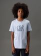 camta boy logo serif font lavanda