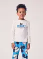 c4858f1cdd383608cf7a33ae4aef8a76.webp