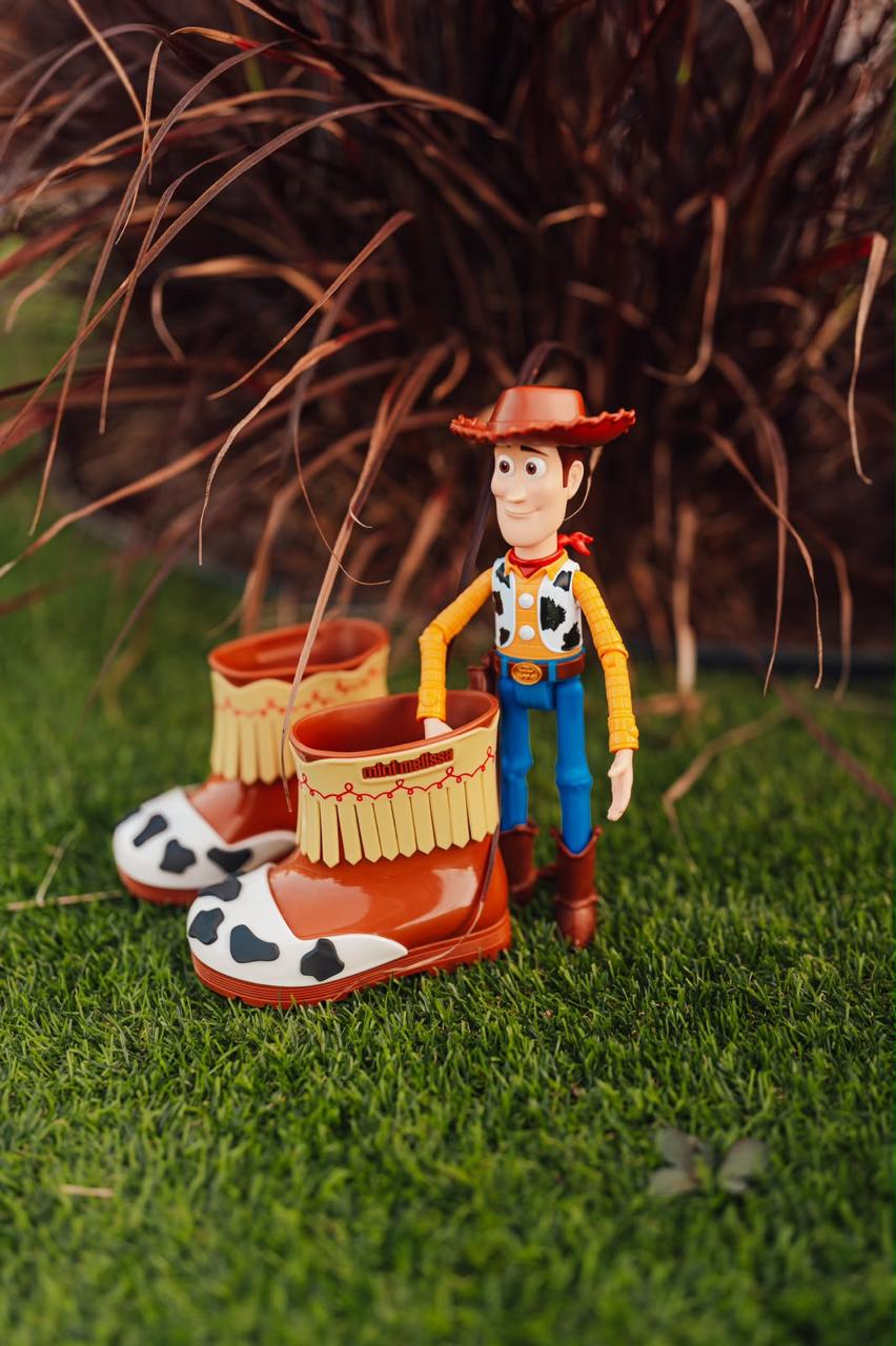 bota toy story